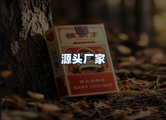 专业团队办公环境